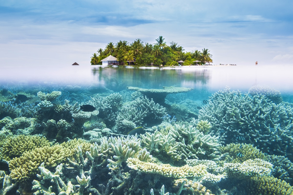 du-lich-maldives-mua-nao-dep-nhat-worldtrip