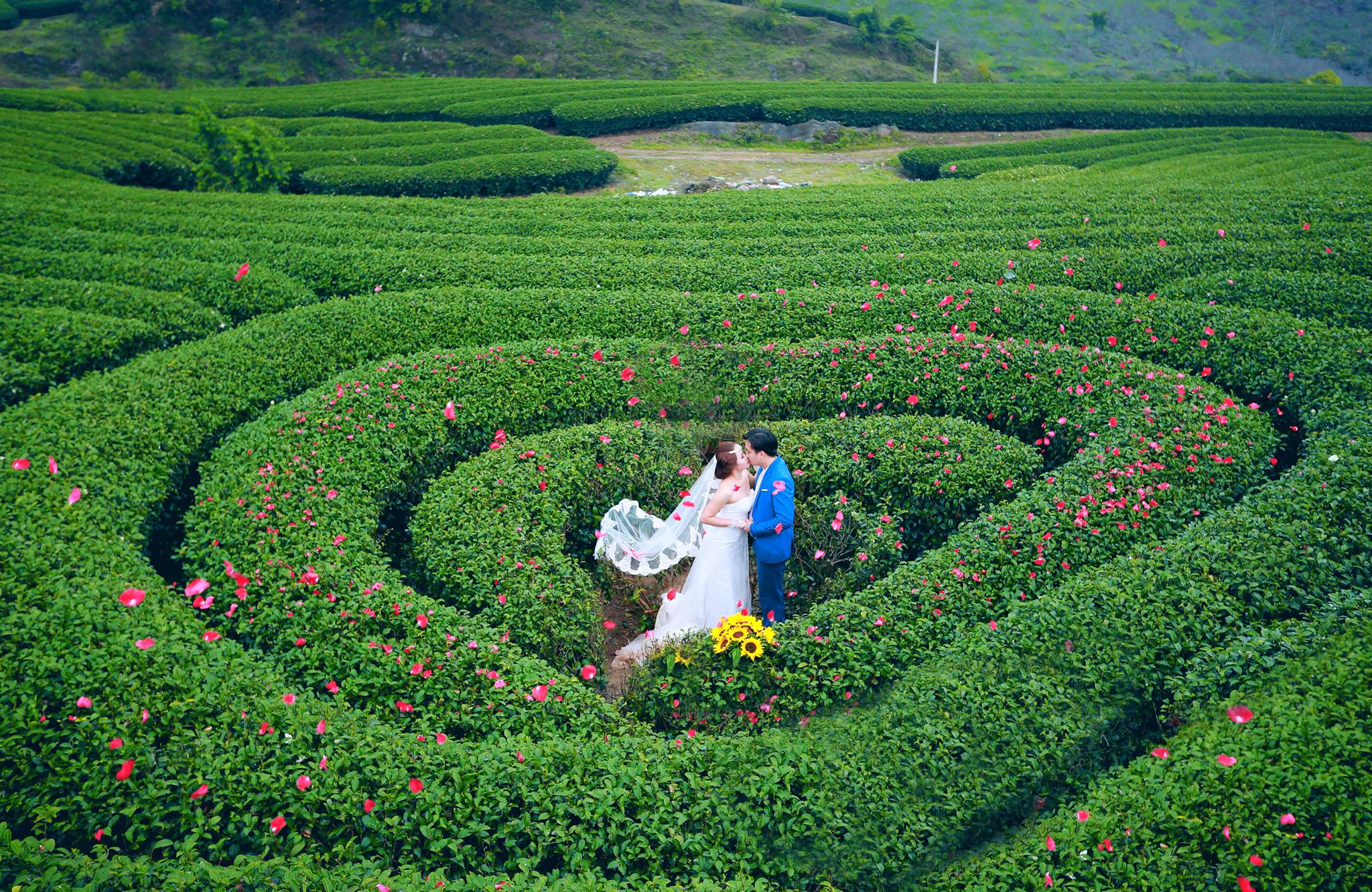 Du lịch mộc châu mùa thu