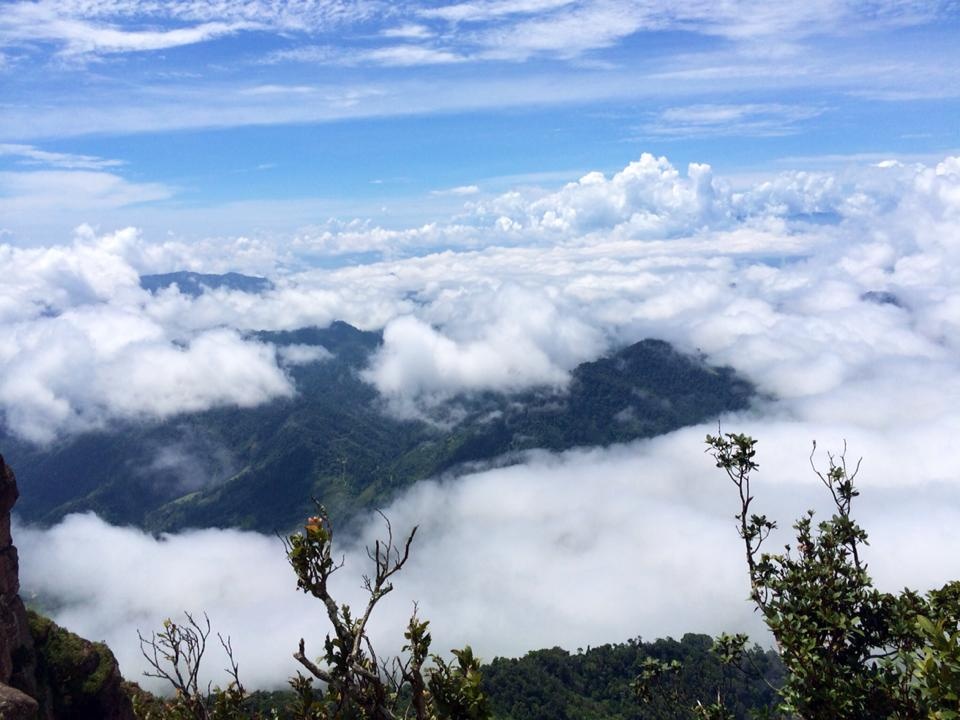 Du lịch mộc châu mùa thu