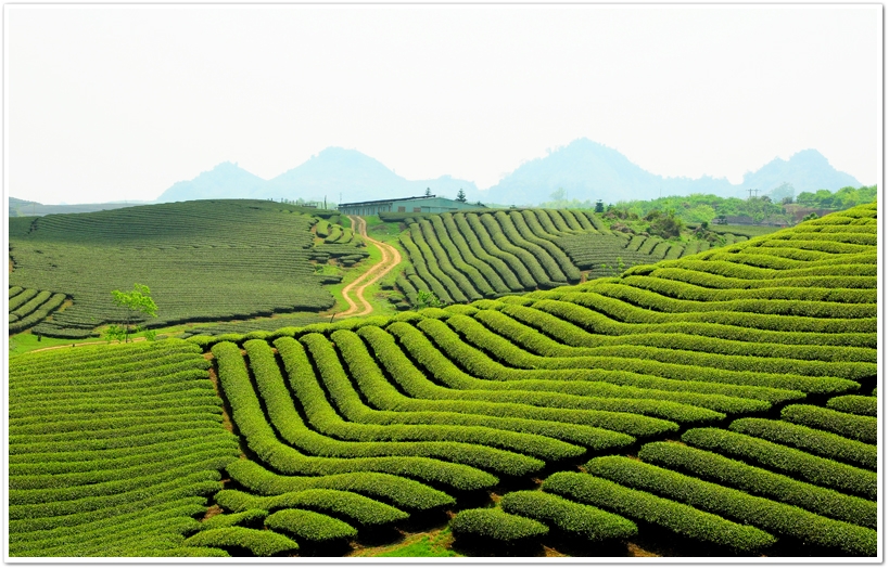Gợi ý địa điểm du lịch 2 ngày 1 đêm ở miền Bắc lý tưởng nhất cho kỳ nghỉ cuối tuần