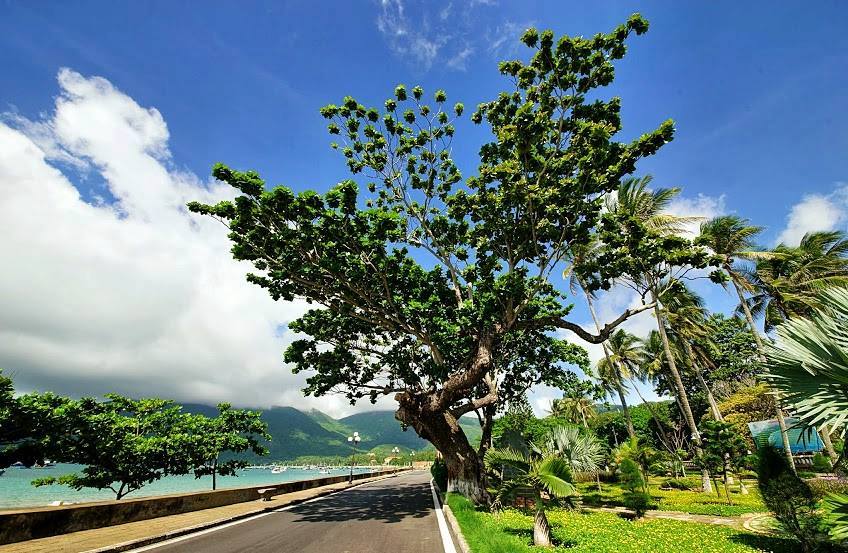 du-lich-con-dao-worldtrip