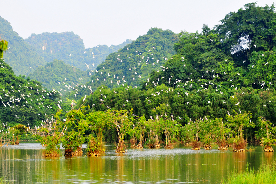 Tour du lịch Hà Nội - Thung Nham (Thung Chim) - Ninh Bình